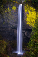Fototapeta premium Waterfall In Columbia River Gorge - Oregon