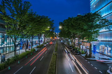 東京　表参道の夜景