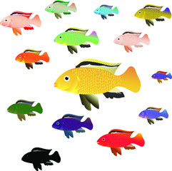 set of identical colored sea fish. the prototype is a bright yellow fish..  isolated vector illustration.