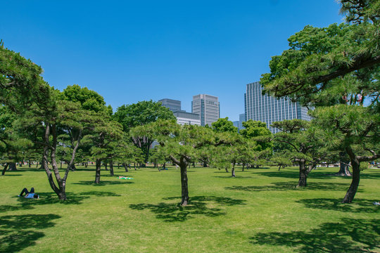 967 Best 皇居外苑images Stock Photos Vectors Adobe Stock 967 Best 皇居外苑images Stock Photos Vectors Adobe Stock