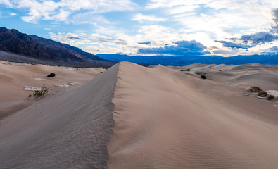 Fototapeta na wymiar Sand Dunes and Blue Skies - Death Valley - Mesquite Dunes