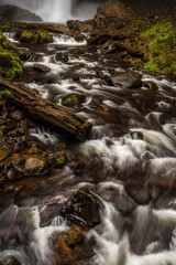 Stream Flowing - Oregon - Water Flow