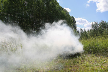 Fototapeta na wymiar Smoky in the field from the burning grass in summer field