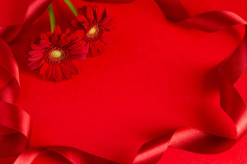 赤いガーベラとリボンのプレゼントのイメージ