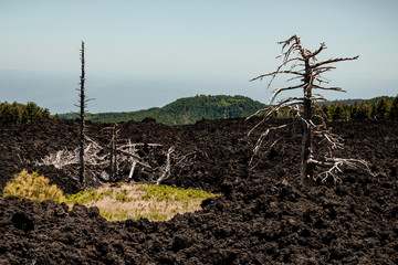 Sicily etna