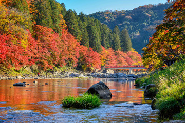 Korankei valley in autumn The leaves turn red is very beautiful. There are streams and red  Bridge Taigetsu a popular spot to see the changing leaves in Japan.