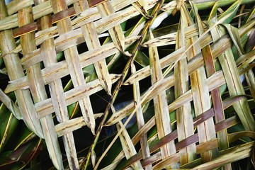 Woven palm leaf mesh grid with diagonal twig natural horizontal background texture