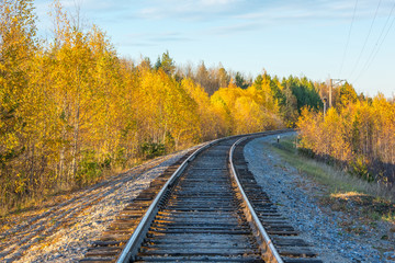 The railway goes into the distance through the autumn forest. Autumn landscape.