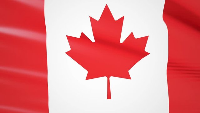 Flag of Canada waving in the wind. Realistic background of the Canadian flag. Flag  Close 1080p Full HD 