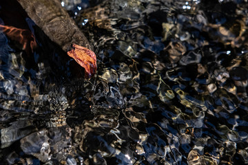 Reflected water