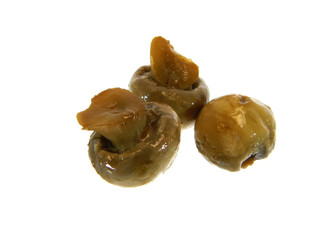 mushrooms isolated on white background