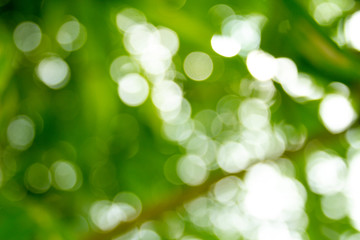 Obraz premium abstract green background with bokeh
