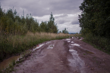 dirty road in field near the forest