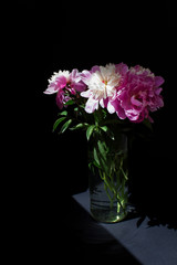 bouquet of pink peony spring flowers on black background
