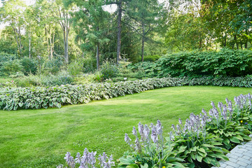 Flowers, grass, greenery and a path in a beautiful garden