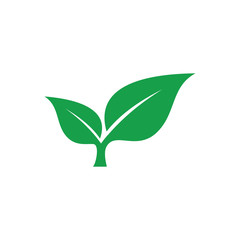 Seed Shop Logo, Nature And Leaf Logo