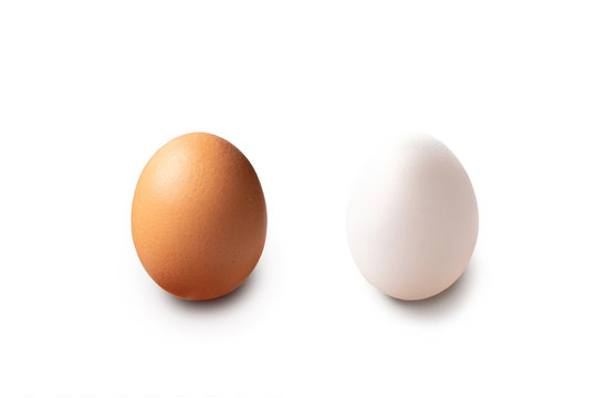 two egg brown and white. chicken and duck isolated on white background