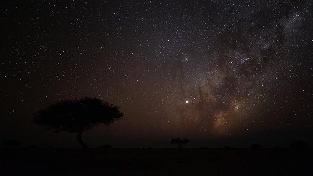 Astro timelapse of an Acacia tree silhouetted against the African night sky with the Milky Way rising in the Southern Hemisphere followed by moon rising over a wide barren/arid landscape.