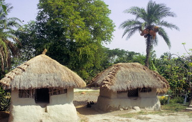 Tribal huts from the Bali island in the Sunderban delta, West Bengal, India.