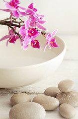 SPA still life - pebbles and orchid flowers