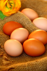 eier   Hofverkauf    bio