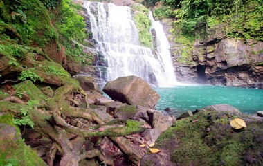 waterfall, water, nature, river, landscape, forest, falls, rock, cascade, green, stream, fall, beautiful, natural, mountain, stone, travel, park, flowing, flow, wet, environment, beauty, spring, tree