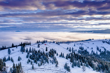 Obraz na płótnie Canvas Pasul Tihuta, Romania seen from a drone early in a winter morning. 