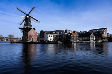 Fototapeta na wymiar Windmühle in Haarlem in Holland