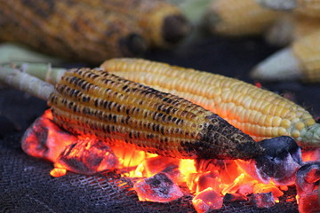 Corn cobs being roasted on a coal fire. Maharashtra, India.