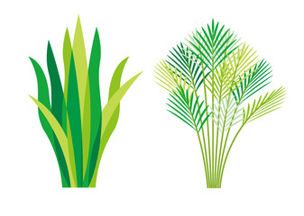 植物グラフィックパターン