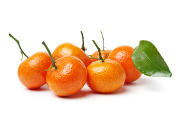 tangerine orange on white background 