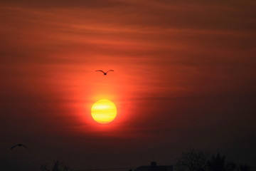 Sunrise at Pune