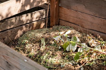 Homemade wooden compost bin in the garden. Recycling organic biodegradable material and household waste in composter. Eco fertilizer with no chemicals.
