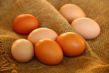 eier vom bauernhof  regional