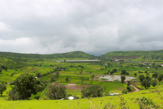 Landscape with paddy fields and mountains, Trimbakeshwar Nasik.