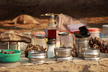 Camel cart, a popular mode of transport in Rajasthan, India