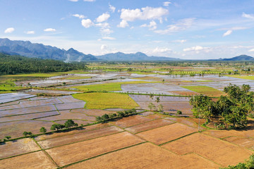 Fototapeta na wymiar Paddy fields in the Philippines. Mountain landscape with green hills and farmland.