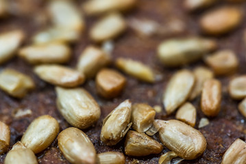 Makro oberfläche frisches brot mit sonnenblumen körner