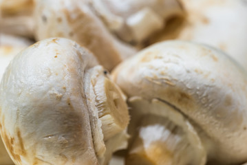 Makro Details Champions  aufeinander