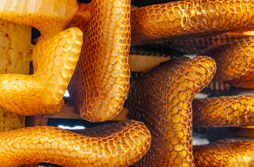 bee wax - bee frames of a bee hive