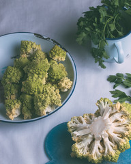 Broccoli of the Romanescu variety, on a tin plate with a blue border on a white background.