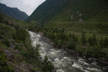 Fototapeta na wymiar River in the Altai mountains