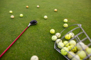 Starting pack for golf players, a lot of training balls on the ground with golf club, sport concept