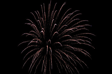 Beautiful new years firework celebration in black evening sky.