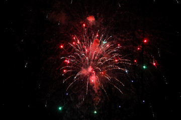Fototapeta premium Beautiful new years firework celebration in black evening sky.