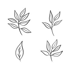 Scetch hand drawn  leaves vector.