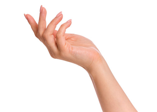 Female hand with manicure, isolated on white background. Beautiful hand of woman with copy space.