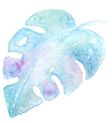 Monstera plant isolated leaf watercolor painting