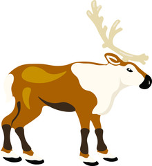 Reindeer animal, vector isolated illustration on white background. Concept for logo, cards, print