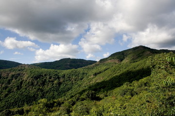 Fototapeta premium Mahdei Wildlife sanctuary ridgeline, Goa- Karnataka border